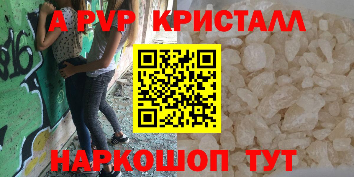 Alfa_PVP СК КРИС Сыктывкар