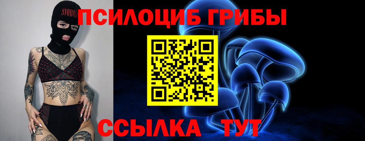 Псилоцибиновые грибы Psilocybe  Псилоцибиновые грибы GOLDEN TEACHER  Сыктывкар  Вход с VPN 